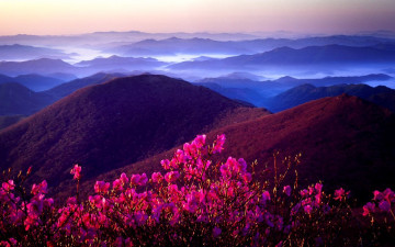 6편 - 무등산 - 진달래 - 무등산