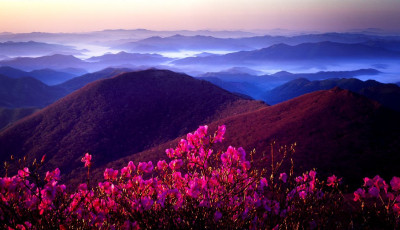 6편 - 무등산 - 진달래 - 무등산