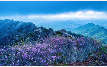 대둔산의 봄_2025 - 대둔산