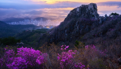 금정산 일출 - 금정산