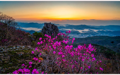 금정산 의상봉에서_2026 - 금정산