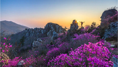 주작산이어라 !!!! - 덕룡산(주작산)