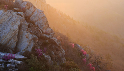 주작산 덕룡산 진달래의 봄