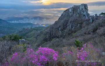 금정산 국립공원 지정 기념, 봄의 붉은 함성 속으로 - 금정산