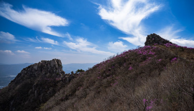 금정산 의 봄 (2026, 04, 05) - 금정산