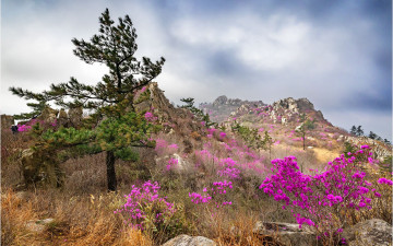 주작산 !!! - 덕룡산(주작산)