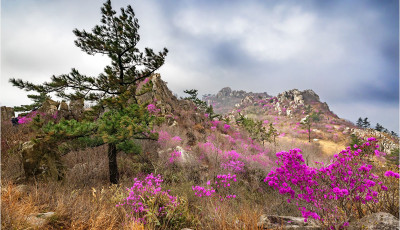 주작산 !!! - 덕룡산(주작산)