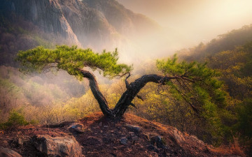 갈기산 - 갈기산