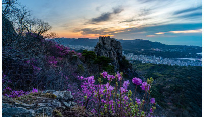 금정산 어제와 오늘 풍경_2026 - 금정산