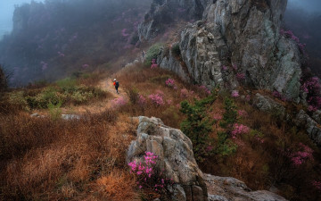 주작산 - 덕룡산(주작산)