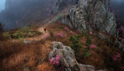 비모뉭 주작산 - 덕룡산(주작산)