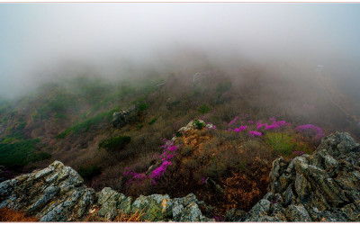 안개 속 금정산_2026 - 금정산