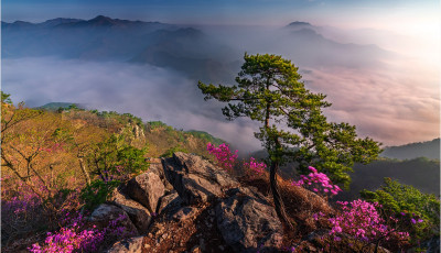 갈기산 !!! - 갈기산