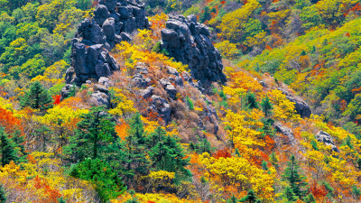 추억의지리산  125  박환윤