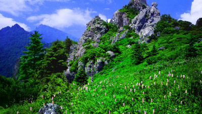 추억의지리산 95