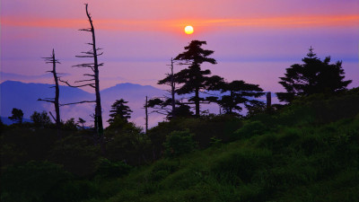 추 억의지리산   110    박환윤