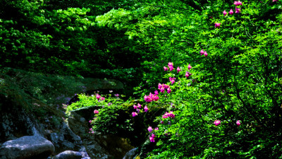 추억늬지리산  80