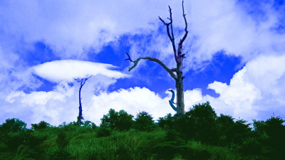 추억의지리산 84