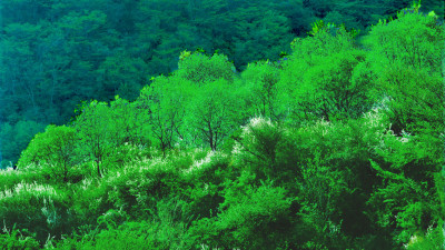 추억의지리산  101