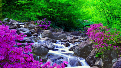 추억의 지리산 49