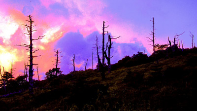 추억의지리산   36