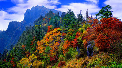 추억의지리산  119  박환윤