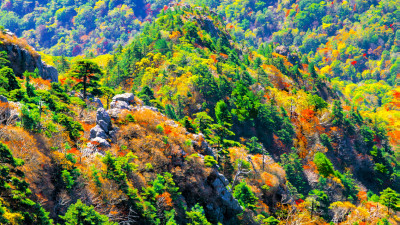 추억의지리산   133  박환윤