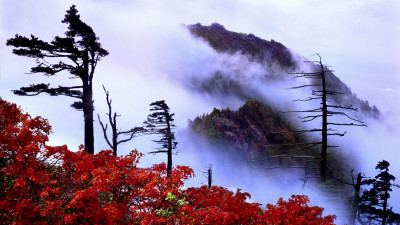 추억의지리산  134    박환윤