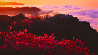 추억의지리산  92