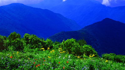 추억의지리산  85