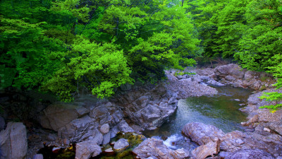 추억의지리산  57