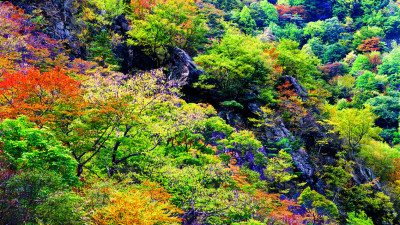 추어의자리산    114   박환윤