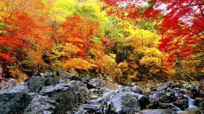 추억의지리산  115  박환윤