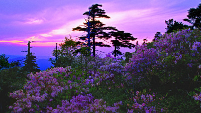 추억의지리산  40