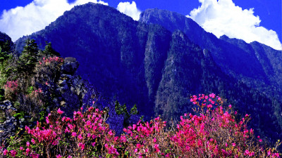 추억의지리산   91