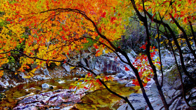 추억의 지리산  58