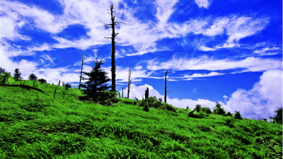 추억의지리산  89