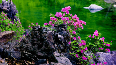 추억의지리산   98