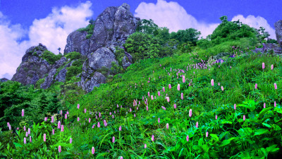 추억의지리산   105   박환윤