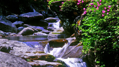 추억위지리산   79