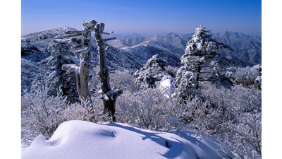 덕유산의 겨울(덕유산)