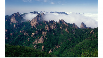 설악산의 봄(설악산)