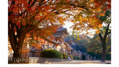 불국사 추경(경주 불국사)