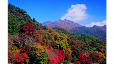 가야산의 단풍(가야산)