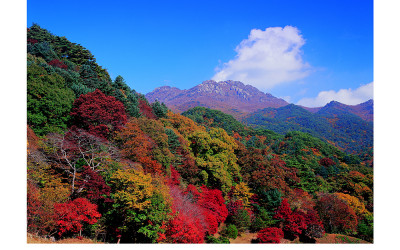 가야산의 단풍(가야산)