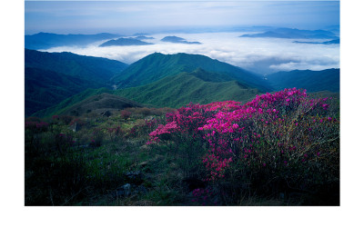 노고단의 봄(지리산)