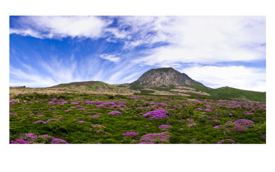 한라산의 봄(한라산)