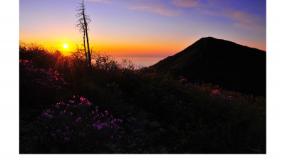 설악산의 봄(설악산)