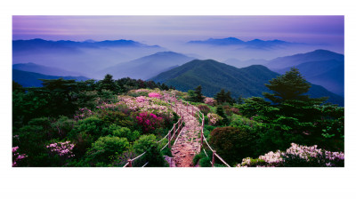 반야봉의 봄(지리산)