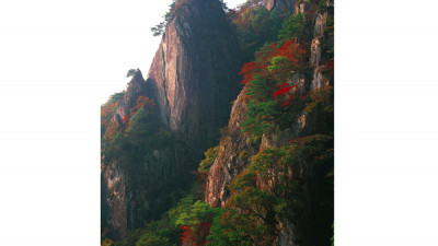 대둔산의 가을(대둔산)